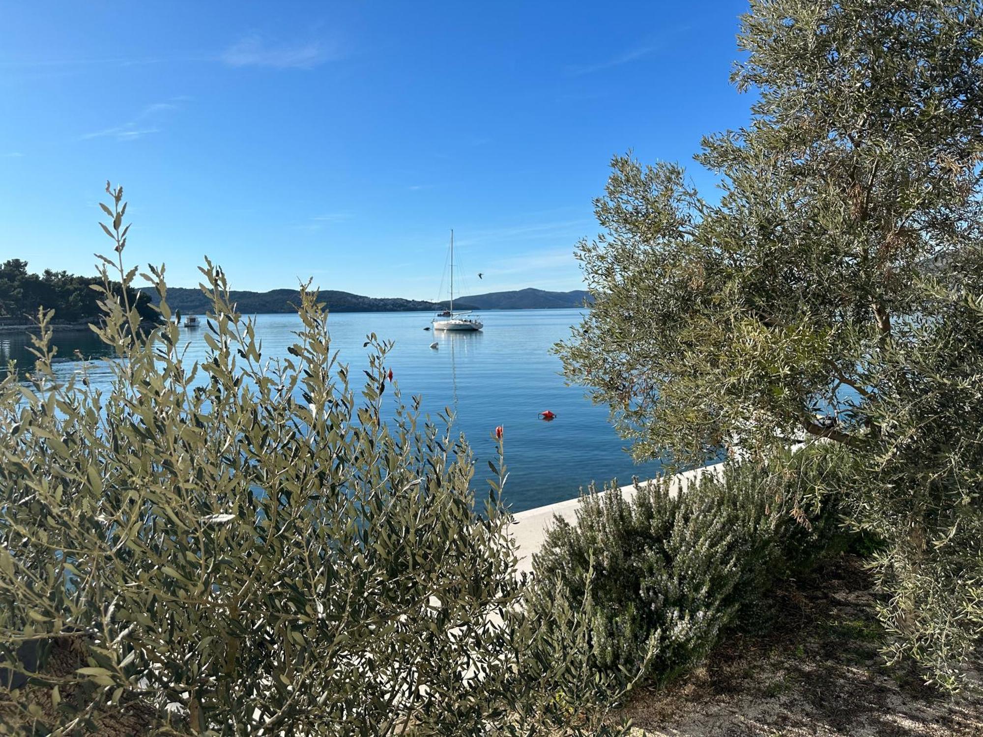 Vila Zrina - Apartmani Trogir Eksteriør bilde