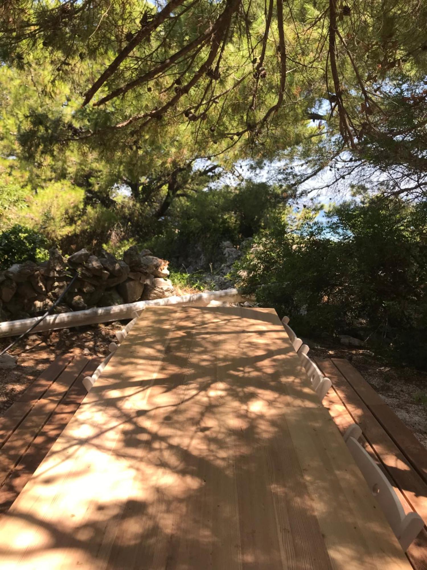 Vila Zrina - Apartmani Trogir Eksteriør bilde