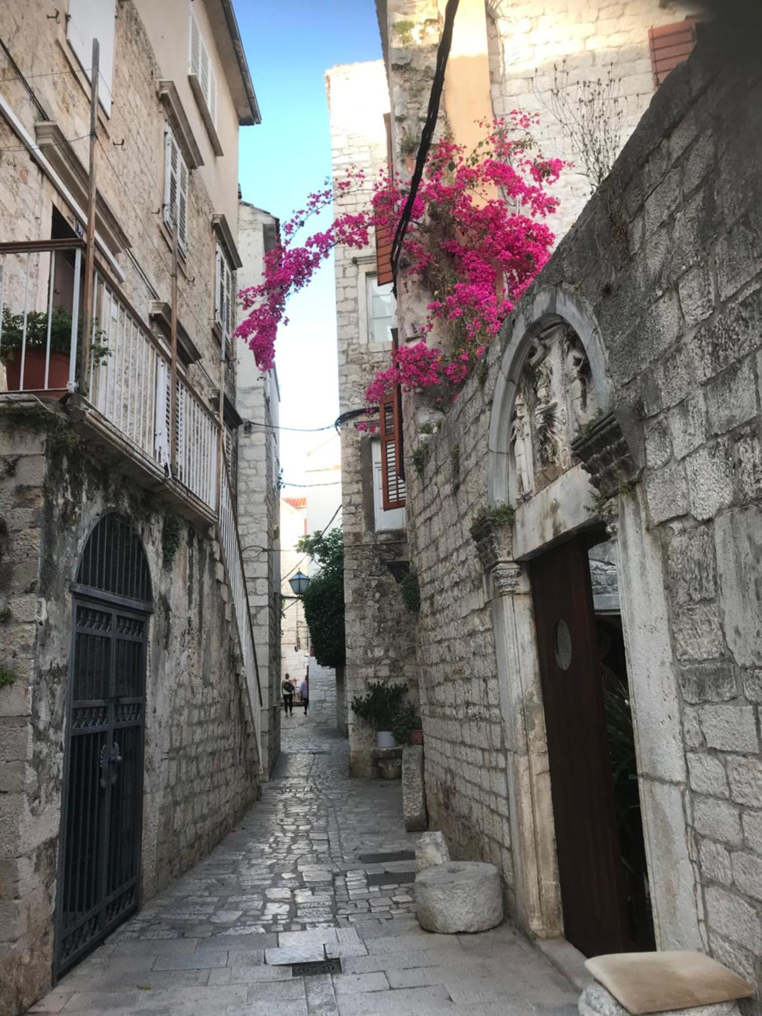Vila Zrina - Apartmani Trogir Rom bilde