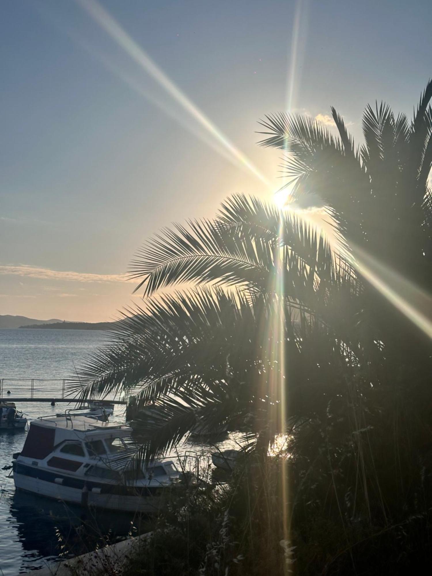 Vila Zrina - Apartmani Trogir Eksteriør bilde